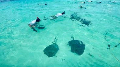 Roatan East End Tour – Saint Helene & Mangroves